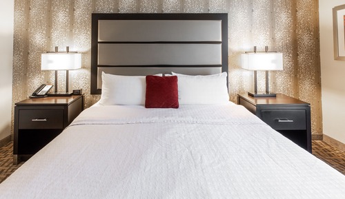 Studio, 1 King Bed