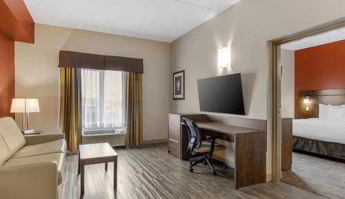 Suite, 1 King Bed, Non Smoking, Kitchenette (with Sofabed)