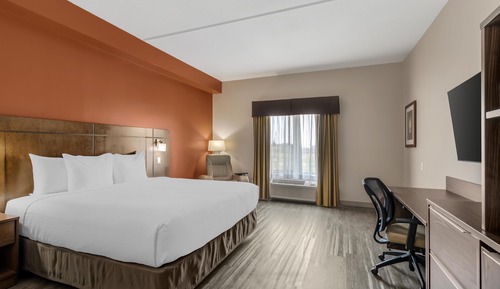 Standard Room, 1 King Bed, Non Smoking, Refrigerator & Microwave
