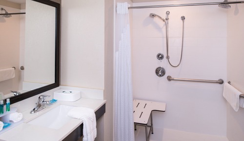 Standard Room, 1 King Bed, Roll-in Shower (Mobility Accessible)