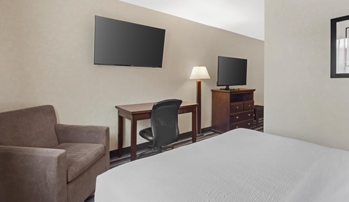 Standard Room, 1 Queen Bed, Non Smoking, Refrigerator & Microwave