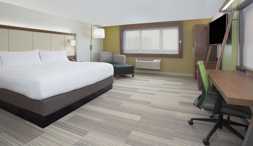 Suite, 1 King Bed with Sofa bed, Roll-in Shower (Roll-In Shower)
