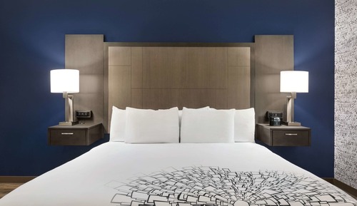 Room, 1 King Bed, Non Smoking