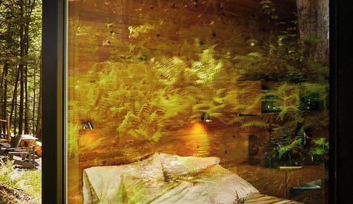 Signature Cabin, 1 Queen Bed