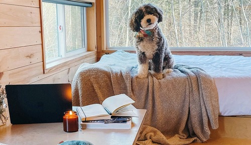 Cabin, 1 Queen Bed