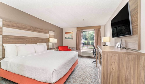 Standard Room, 1 King Bed, Accessible, Non Smoking