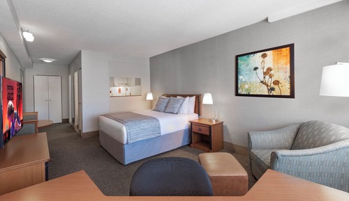 Studio Suite, 1 Queen Bed