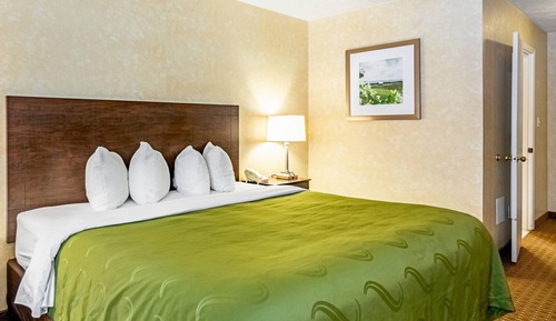 Standard Room, 1 King Bed, Non Smoking