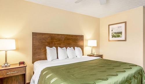 Room, 1 King Bed, Accessible, Non Smoking (Roll-In Shower)