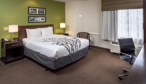 Room, 1 Queen Bed, Accessible, Non Smoking
