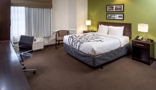 Room, 1 Queen Bed, Accessible, Non Smoking