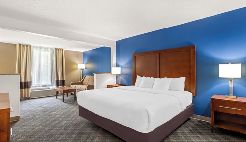 Suite, 1 King Bed, Non Smoking