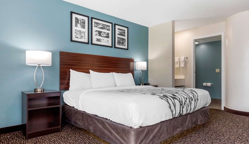 Suite, 1 King Bed, Non Smoking