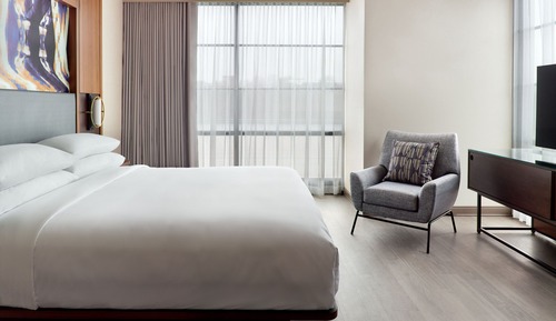 Room, 1 King Bed (Hearing Accessible)