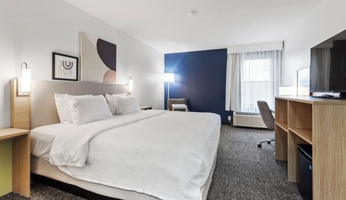 Room, 1 King Bed