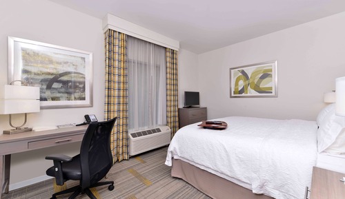Room, 1 King Bed, Non Smoking