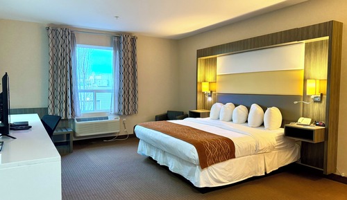 Single Room, 1 King Bed