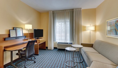 Suite, 1 King Bed with Sofa bed