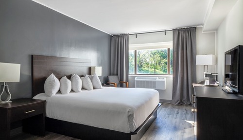 Standard Room, 1 King Bed
