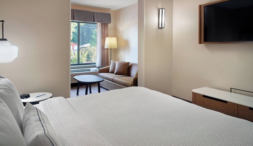 Suite, 1 King Bed with Sofa bed
