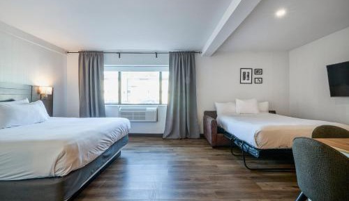 Junior Suite, 1 King Bed and 1 Sofa Bed with Kitchenette