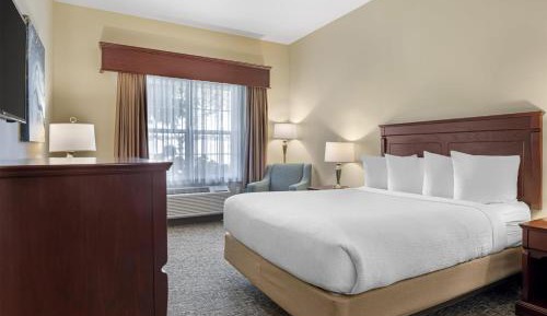Queen Room with One Queen Bed - Non-Smoking