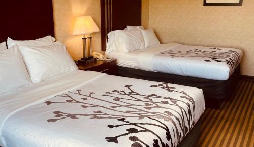 Executive Double Room with Two Double Beds