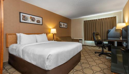 Standard Queen Room with Sofa Bed - Second Floor