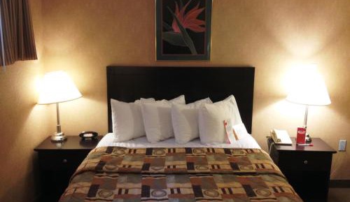 Queen Room with Sofa Bed - Non-Smoking