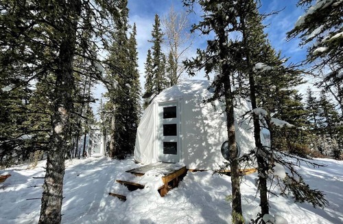Calgary RV Rental | Cozy Riverside Retreat: Experience Comfort in Nature's Embrace in Alberta Dome