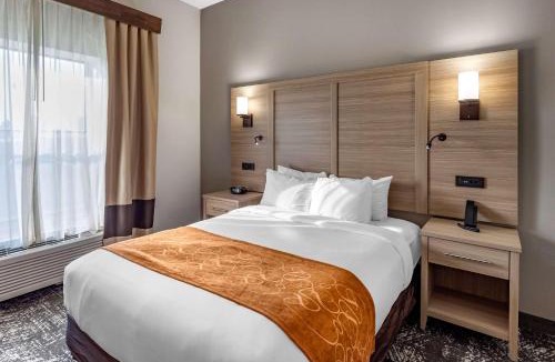 Anderson Hotel | Comfort Suites Anderson-Clemson