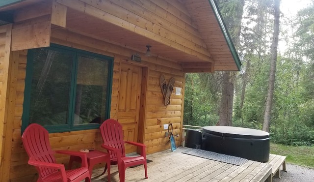 Beautiful Cabin with private hot tub in quiet setting