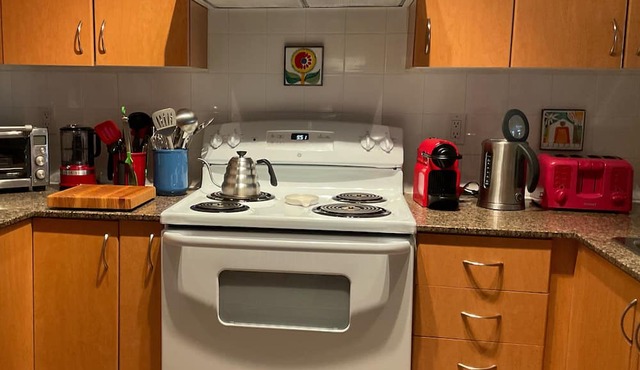 Sublet Jan.&Feb. 2025 Downtown Coquitlam. 5 min. from Skytrain and Coq. Centre