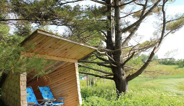 Fossil Farms - Stay, Relax and Dine with Us