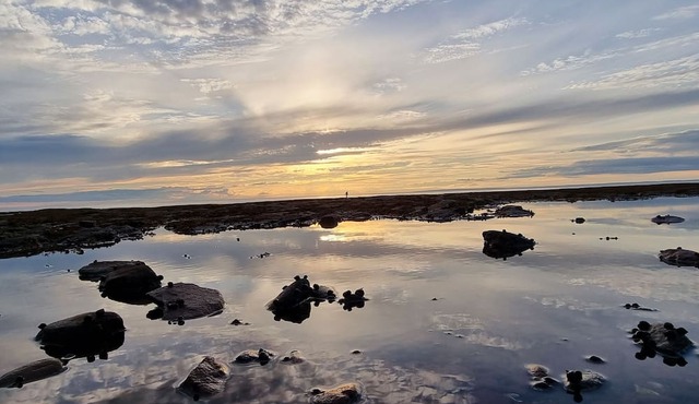 Experience Coastal Serenity at Our Cozy Belfast Oasis!