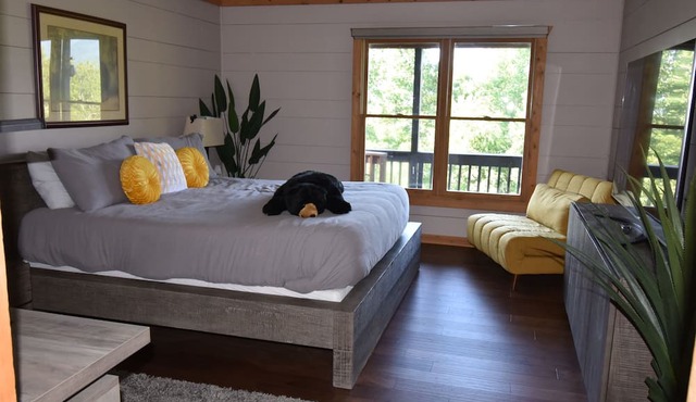 Amazing Views! Creekside Cabin, Wrap Around Porch, Close to Town! Dogs Welcome!